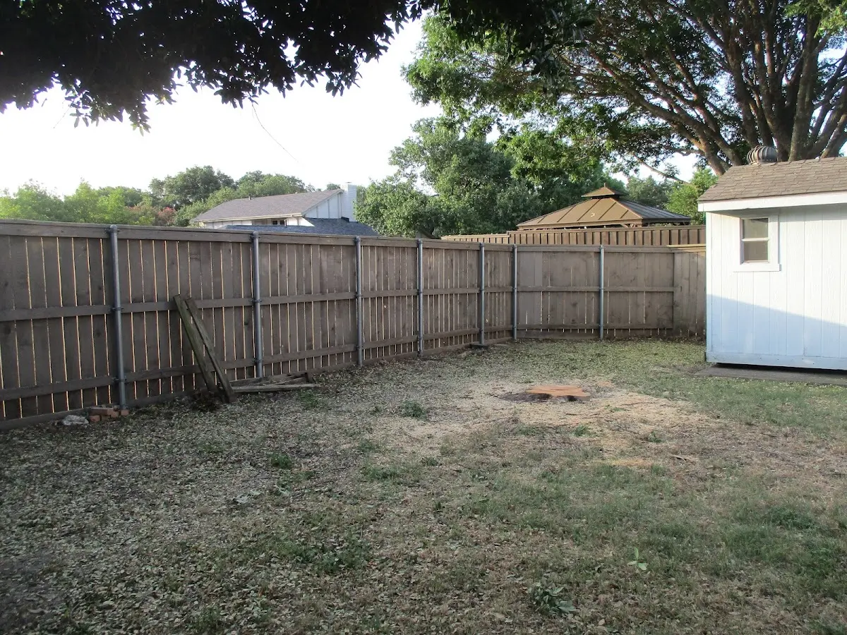 Cleared yard after professional tree removal in Eubank
