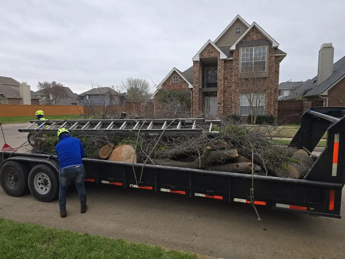 Expert Tree Pest Control with proper safety equipment in Eubank